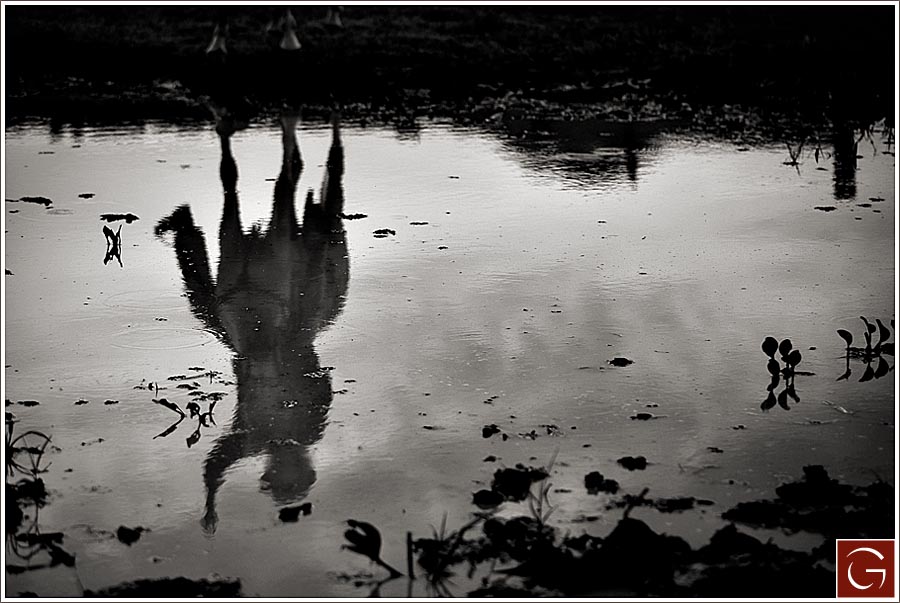 0008_greg_blog_selects-21