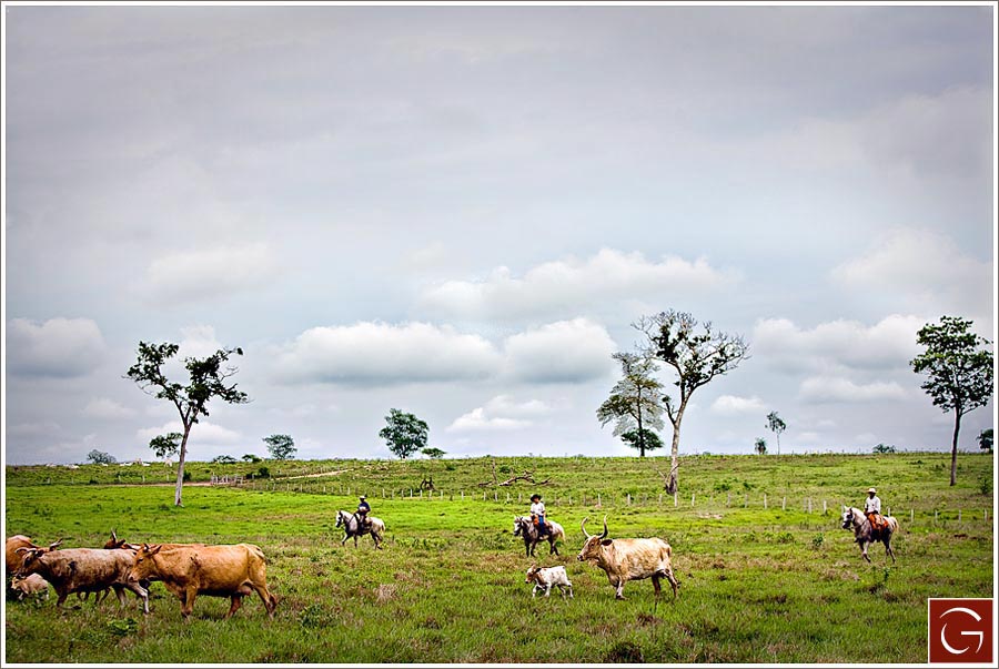 0009_greg_blog_selects-22