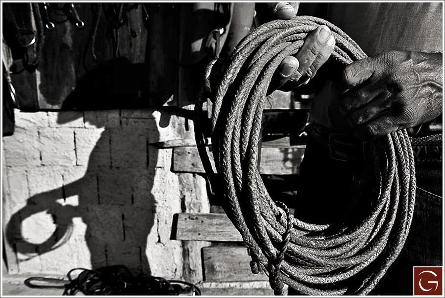 0012_greg_blog_selects